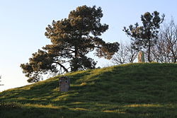 Tumulus de Crucuny makalesinin açıklayıcı görüntüsü