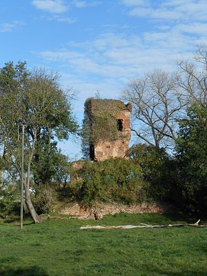De ruïnes van de kasteeltoren van Grossvernich