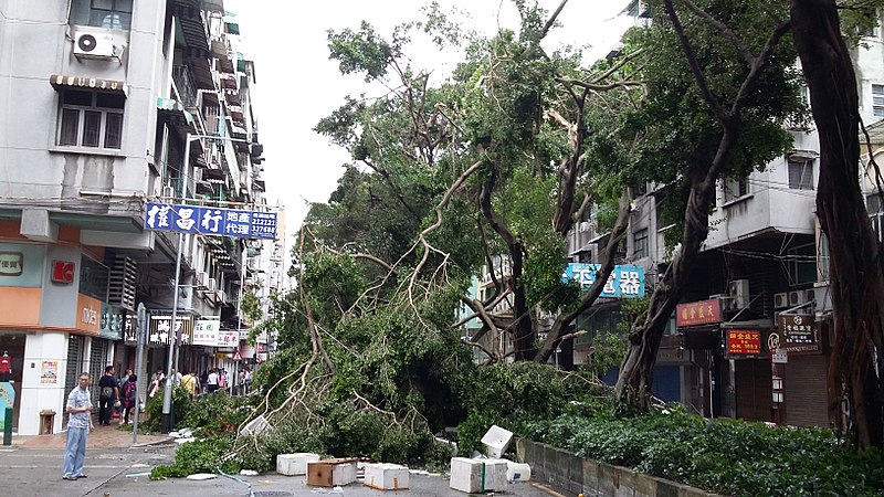 File:Typhoon-Hato-in-Macao 20170823-160646.jpg