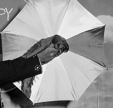 An umbrella magic trick at a birthday party, India.