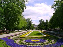 Uzdrowisko Inowrocław - Dywany kwiatowe.JPG