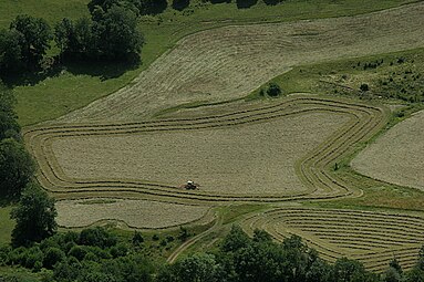 Fenaison: Étapes, Histoire, Saison