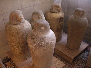 Vases canopes des taureaux Apis - Règnes d'Amenhotep III à Toutânkhamon
