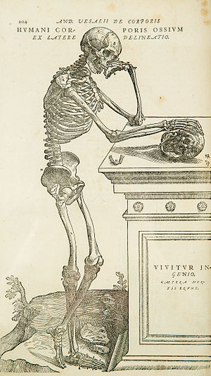 Vesalius-copy.jpg