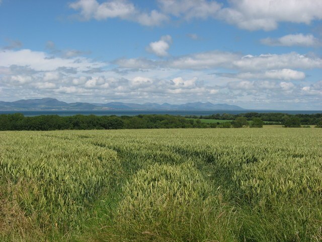 Summer meadow in Johnstown