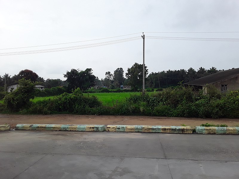 File:View from the bus station at Katte Malawadi village, Hunsur.jpg