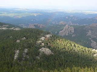 Nationaal bos Black Hills