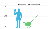 180px-Vraptor-scale.svg.png