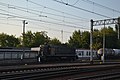 Tem2-269 CTL Logistics w Koluszkach Template:Wikiekspedycja kolejowa 2015