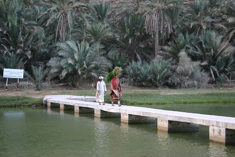 File:Wadi Shab (13).jpg