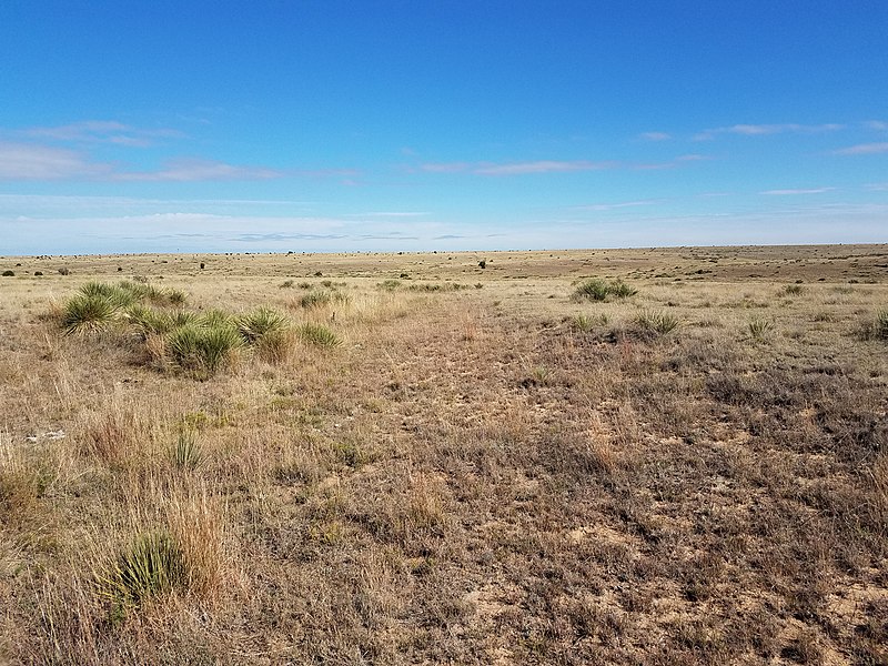 File:Wide open prairie at Cimarron National Grassland - 2 (834032fb7db741769cb3cf8a25bf0a18).JPG