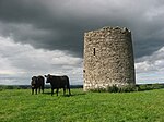 Windmill at Garristown, Co. Dublin - geograph.org.uk - 846350.jpg