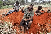 Digging for honeypot ants near Yuendumu
