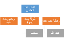 في اي عام اسلم عمرو بن العاص