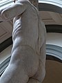 'David' by Michelangelo FI Acca JBS 067.jpg