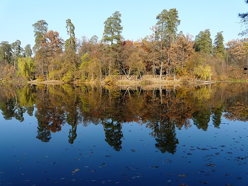 File:«Пуща-Водиця», ставок Сапсаїв, крутий берег.JPG