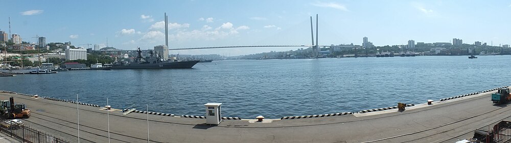 Панорама бухты Золотой Рог, вид с Морского вокзала Владивостока. Слева — БПК «Адмирал Трибуц»
