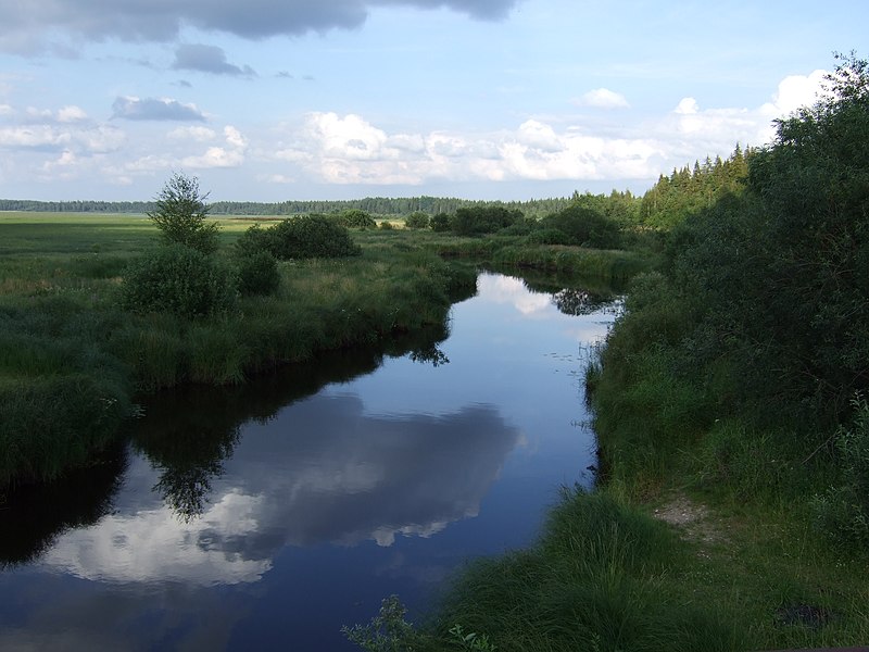 File:Вид на речку с моста - panoramio.jpg