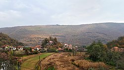 Панорама на селото Свињиште.jpg
