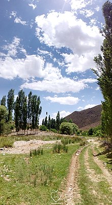 طبیعت روستای باب‌دراز در فصل تابستان