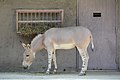 於 2014年10月13日 (一) 19:35 版本的縮圖