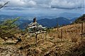 2021年5月30日 (日) 14:34時点における版のサムネイル