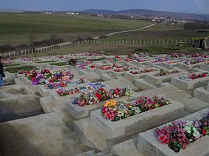 089 albanian graves kosovo.jpg