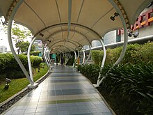 Covered walkway lined with plants on either side