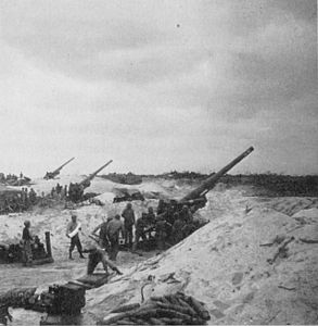 M2 во время Сражения за Окинаву.