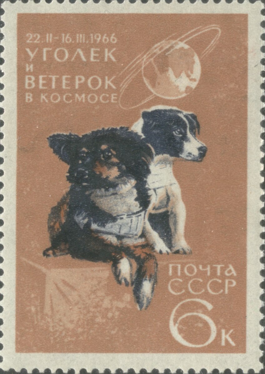 1966 космос. Ветерок и Уголек. Ветерок и Уголек в космосе. Уголек и ветерок в космосе 1966. Ветерок и Уголек собаки космонавты.