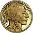 2008 American Buffalo $25 half ounce proof coin (obverse).jpg