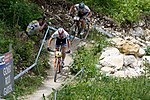 Vorschaubild für Mountainbikesport