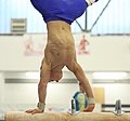 2019-05-24 Budapest Cup training pommel horse (Martin Rulsch) 472.jpg