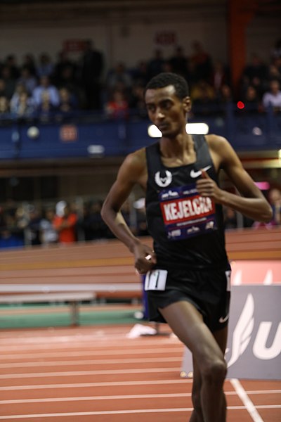 File:2019 Millrose Games (32227912527).jpg