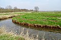 Langs de boorden van de Oude AE tussen Veendam en Muntendam