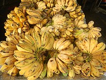 Ripe saba bananas 4377Cuisine and foods of Baliuag, Bulacan 18.jpg