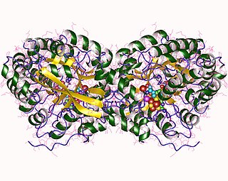<span class="mw-page-title-main">Phosphomethylpyrimidine synthase</span>