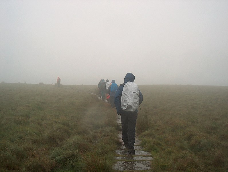 File:A wet day on Rowlee Pasture - geograph.org.uk - 1716220.jpg