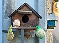 Abri à oiseaux et nourriture, rue des Andrés, Saint-Maurice-de-Beynost (février 2020).jpg