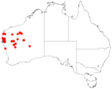 Acacia sibilansDistMap816.png