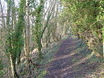 Prior's Park & Adcombe Wood