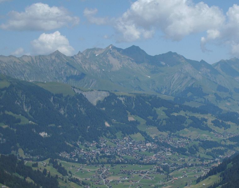 File:Adelboden schutzwald3.jpg