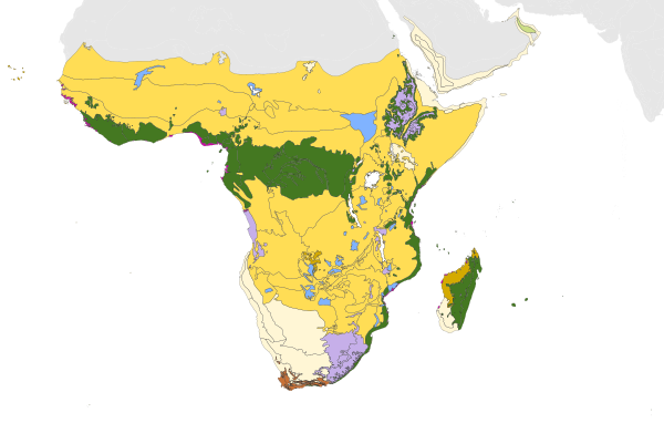 Ecoregions of the Afrotropical realm, color-coded by biome. Dark green: tropical and subtropical moist broadleaf forests. Light brown: tropical and subtropical dry broadleaf forests. Yellow: tropical and subtropical grasslands, savannas, and shrublands. Light green: temperate grasslands, savannas, and shrublands. Light blue: flooded grasslands and savannas. Light purple: montane grasslands and shrublands. Brown: Mediterranean forests, woodlands, and scrub. Beige: deserts and xeric shrublands. Magenta: mangroves Afrotropical biomes.svg