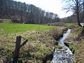 Altenbachtal near Duhr