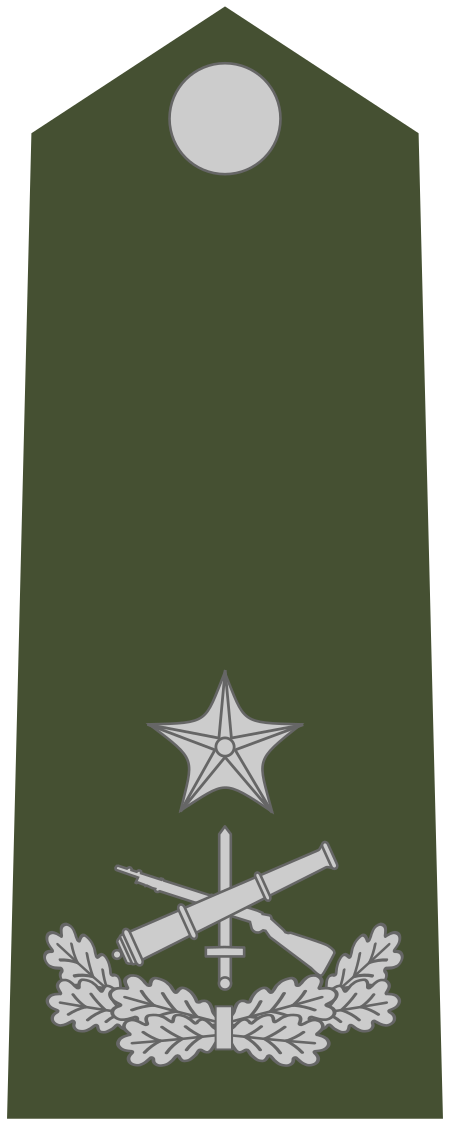 ไฟล์:Army-ALB-OF-01b.svg