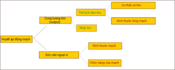 Tăng Huyết Áp: Triệu chứng cơ năng và triệu chứng thực thể, Nguyên nhân, Sinh lý bệnh