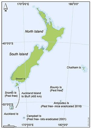 Auckland Islands