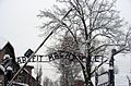 Auschwitz-Work Set Free.jpg