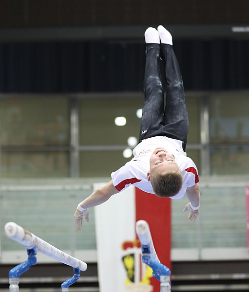 File:Austrian Future Cup 2018-11-23 Training Afternoon Parallel bars (Martin Rulsch) 0896.jpg