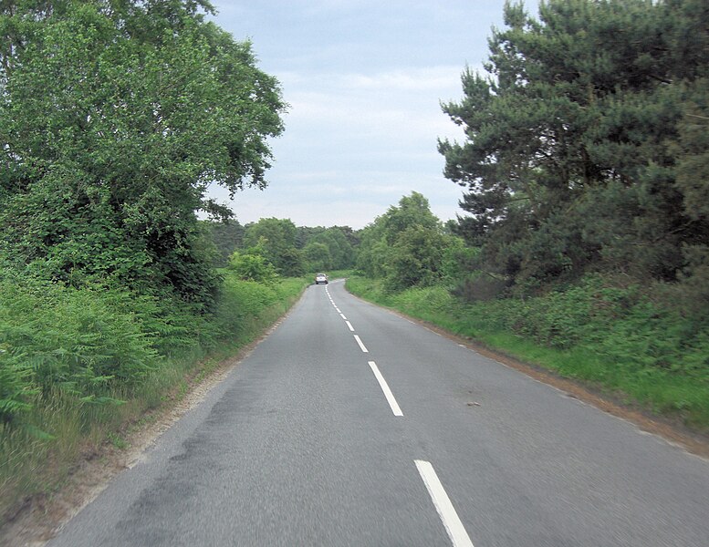 File:B1387 south of Tinker's Covert - geograph.org.uk - 3571761.jpg